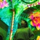 Woman stands looking at the ceiling at the Enlightenment: An Immersive Light Show