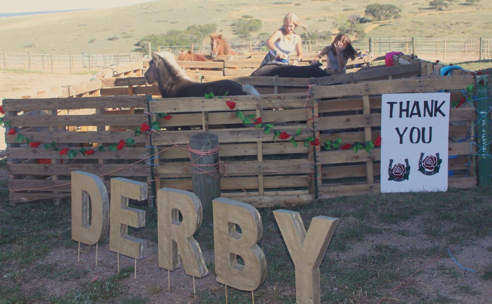 2 girls brushing horses in their stable in front of a large sign reading "DERBY" at Sky View Farm in Castle Rock