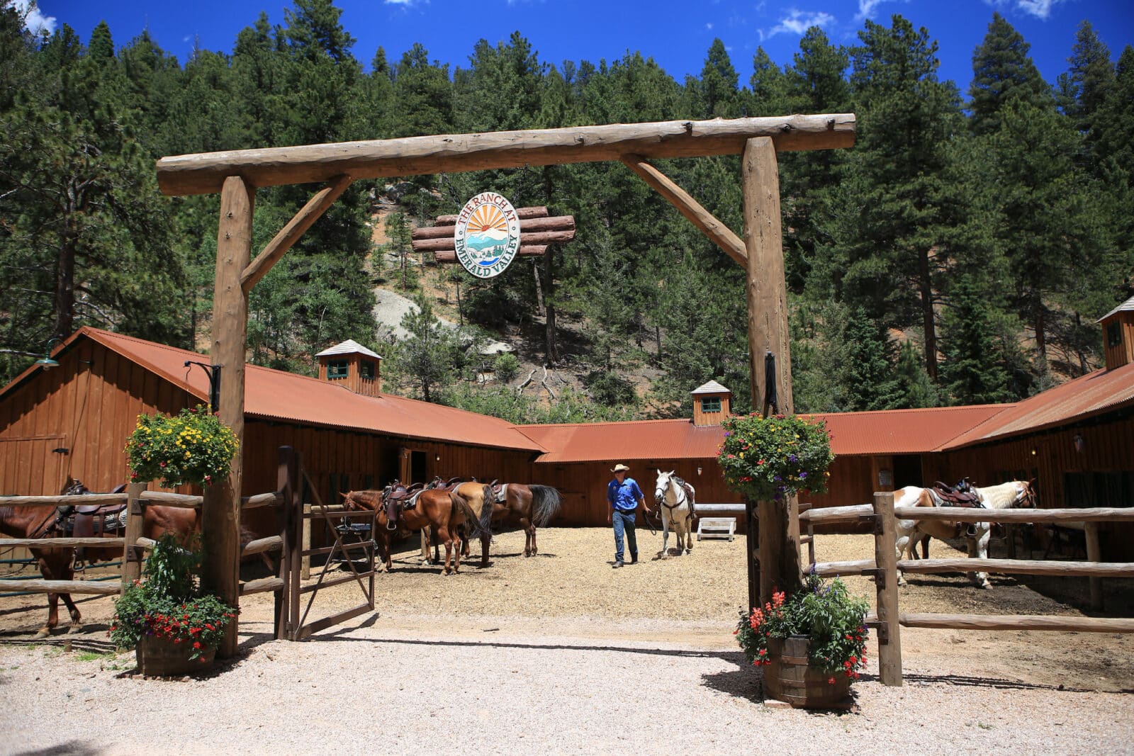 horses in their stable at Emerald Valley Ranch in Colorado Springs